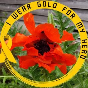 Meet your Posher, Roberta